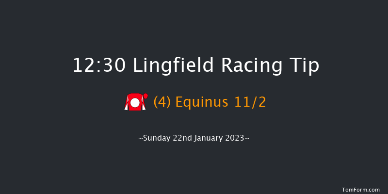 Lingfield 12:30 Handicap Hurdle (Class 3) 20f Sat 21st Jan 2023
