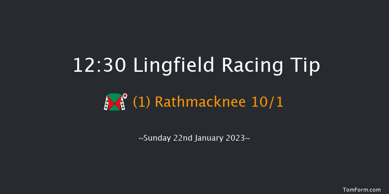 Lingfield 12:30 Handicap Hurdle (Class 3) 20f Sat 21st Jan 2023