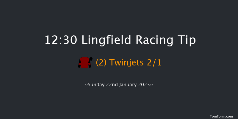 Lingfield 12:30 Handicap Hurdle (Class 3) 20f Sat 21st Jan 2023
