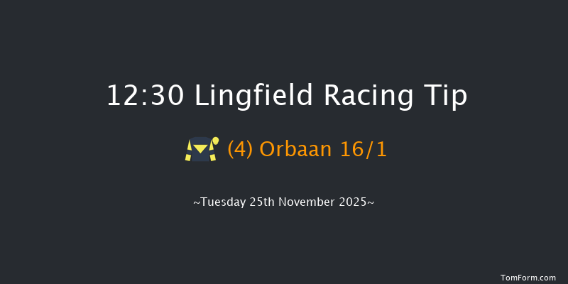 Lingfield 12:30 (Class 5) 10f Thu 20th Nov 2025