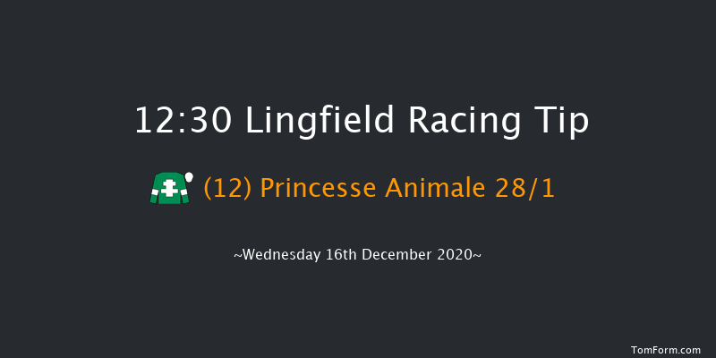 Bombardier British-Hopped Amber Beer Handicap Lingfield 12:30 Handicap (Class 5) 7f Sun 13th Dec 2020