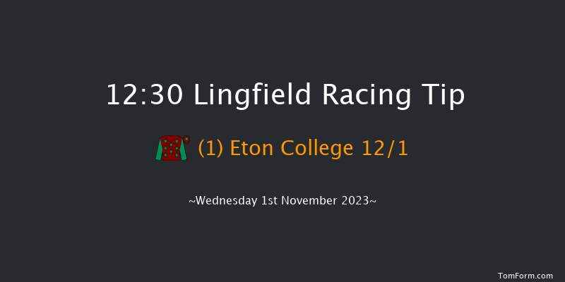 Lingfield 12:30 Handicap (Class 6) 8f Thu 26th Oct 2023