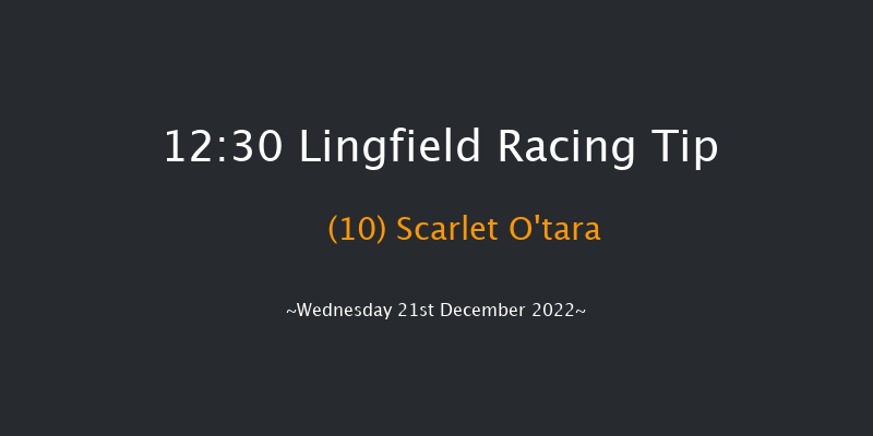 Lingfield 12:30 Maiden (Class 5) 16f Mon 19th Dec 2022