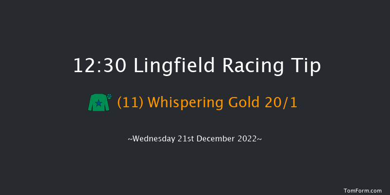 Lingfield 12:30 Maiden (Class 5) 16f Mon 19th Dec 2022