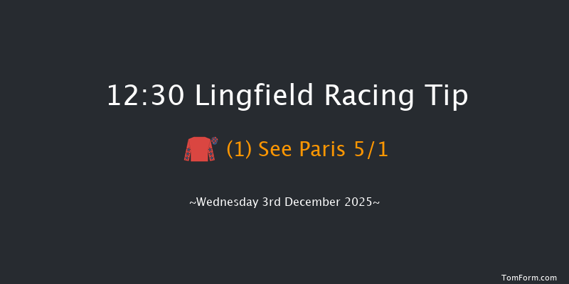Lingfield 12:30 (Class 6) 13f Tue 2nd Dec 2025