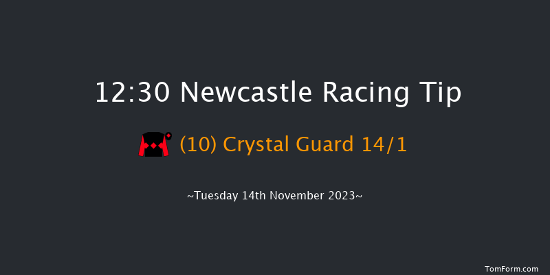 Newcastle 12:30 Handicap (Class 6) 12f Sat 11th Nov 2023