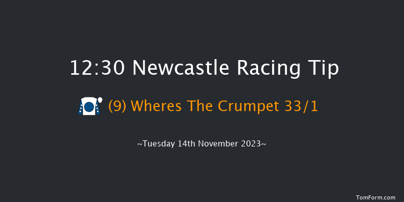 Newcastle 12:30 Handicap (Class 6) 12f Sat 11th Nov 2023