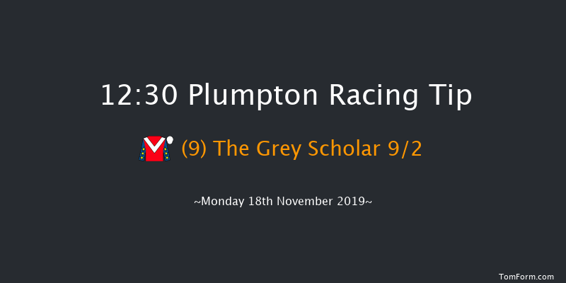 Plumpton 12:30 Maiden Hurdle (Class 4) 
20f Mon 4th Nov 2019