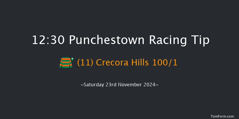 Punchestown  12:30 Maiden Chase 19f Fri 15th Nov 2024