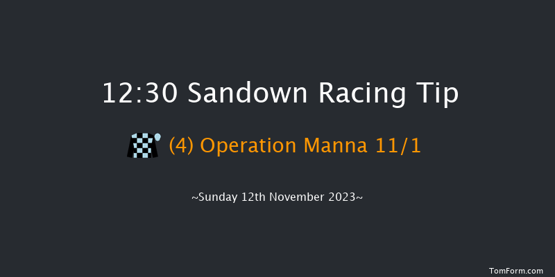 Sandown 12:30 Handicap Hurdle (Class 3) 20f Wed 20th Sep 2023