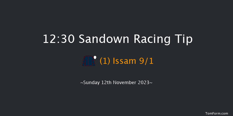 Sandown 12:30 Handicap Hurdle (Class 3) 20f Wed 20th Sep 2023