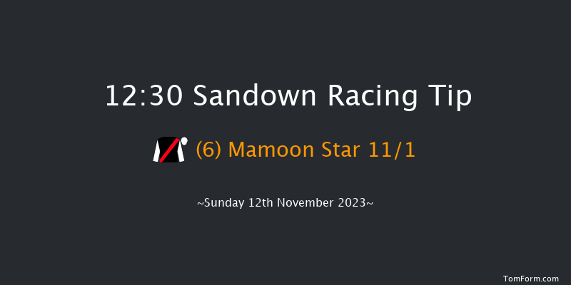 Sandown 12:30 Handicap Hurdle (Class 3) 20f Wed 20th Sep 2023