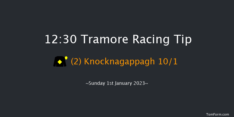 Tramore 12:30 Handicap Hurdle 16f Tue 6th Dec 2022