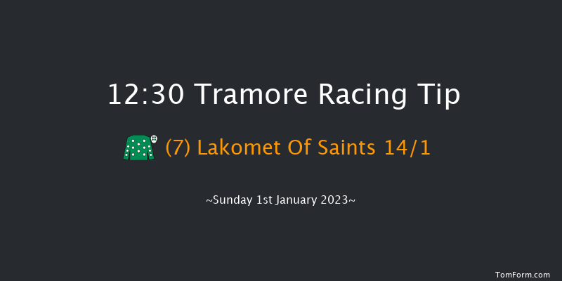 Tramore 12:30 Handicap Hurdle 16f Tue 6th Dec 2022