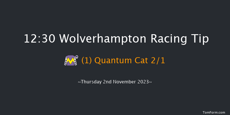 Wolverhampton 12:30 Stakes (Class 5) 10f Fri 27th Oct 2023