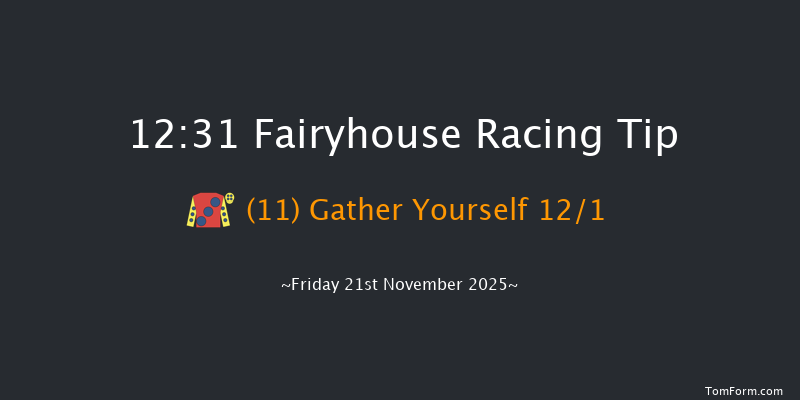 Fairyhouse 12:31 24f Tue 11th Nov 2025
