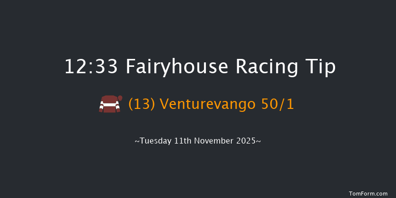 Fairyhouse 12:33 20f Tue 4th Nov 2025