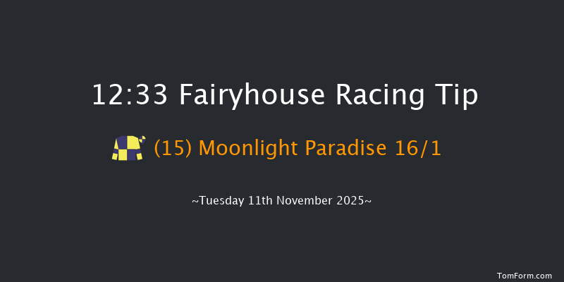 Fairyhouse 12:33 20f Tue 4th Nov 2025