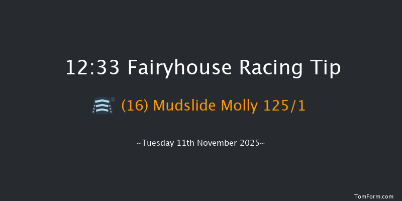 Fairyhouse 12:33 20f Tue 4th Nov 2025