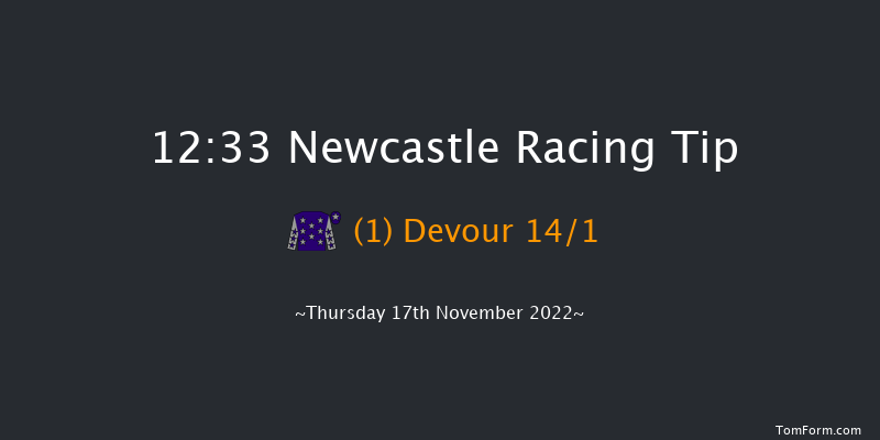 Newcastle 12:33 Handicap Chase (Class 5) 23f Tue 15th Nov 2022