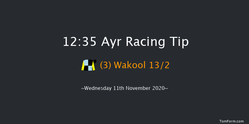 williamhill.com Best Odds Guaranteed Handicap Hurdle Ayr 12:35 Handicap Hurdle (Class 5) 20f Sat 31st Oct 2020