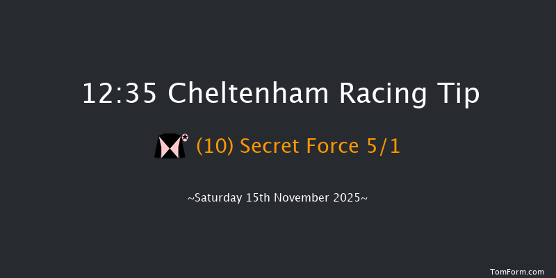 Cheltenham 12:35 (Class 1) 16f Fri 14th Nov 2025