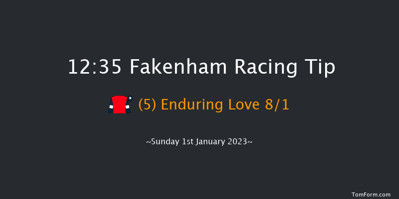 Fakenham 12:35 Handicap Chase (Class 5) 29f Tue 15th Nov 2022