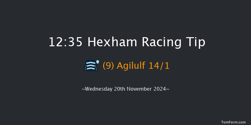 Hexham  12:35 Handicap Hurdle (Class 5) 20f Fri 8th Nov 2024