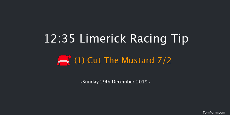 Limerick 12:35 Maiden Chase 20f Sat 28th Dec 2019