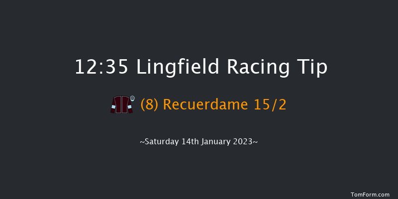 Lingfield 12:35 Handicap (Class 6) 8f Fri 13th Jan 2023