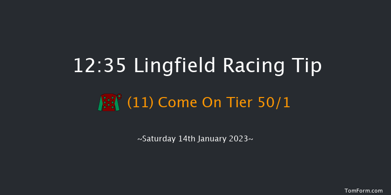 Lingfield 12:35 Handicap (Class 6) 8f Fri 13th Jan 2023