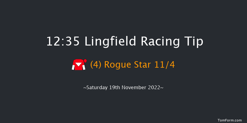 Lingfield 12:35 Stakes (Class 5) 8f Tue 15th Nov 2022