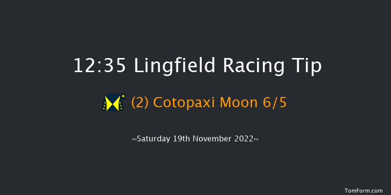 Lingfield 12:35 Stakes (Class 5) 8f Tue 15th Nov 2022
