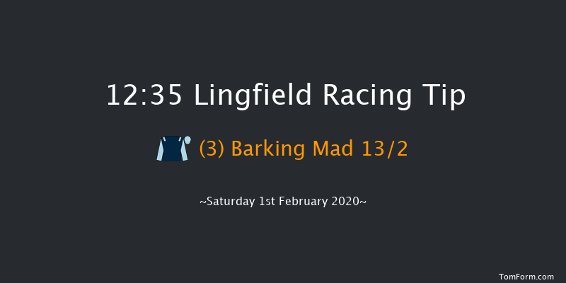 Lingfield 12:35 Handicap (Class 5) 7f Fri 31st Jan 2020