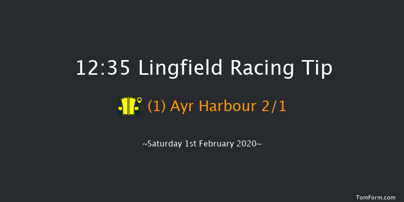 Lingfield 12:35 Handicap (Class 5) 7f Fri 31st Jan 2020