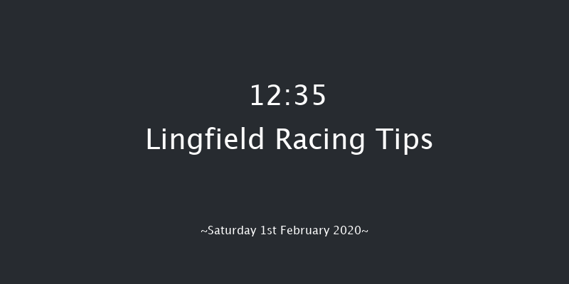 Lingfield 12:35 Handicap (Class 5) 7f Fri 31st Jan 2020