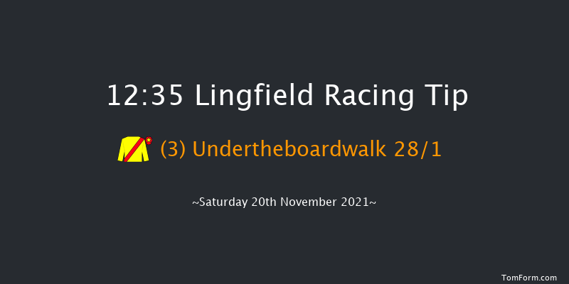 Lingfield 12:35 Handicap (Class 4) 8f Tue 16th Nov 2021