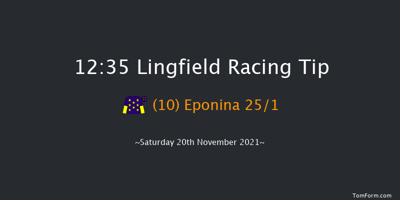Lingfield 12:35 Handicap (Class 4) 8f Tue 16th Nov 2021