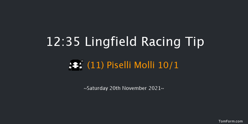 Lingfield 12:35 Handicap (Class 4) 8f Tue 16th Nov 2021