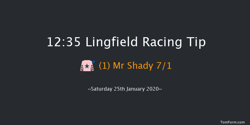 Lingfield 12:35 Handicap (Class 6) 10f Fri 24th Jan 2020