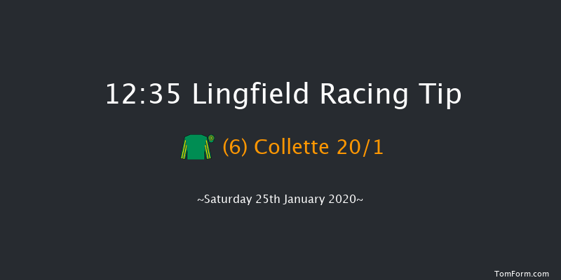 Lingfield 12:35 Handicap (Class 6) 10f Fri 24th Jan 2020