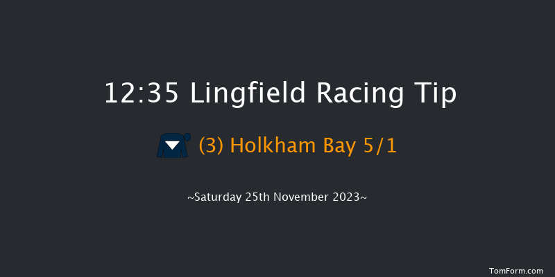 Lingfield 12:35 Handicap (Class 4) 5f Tue 21st Nov 2023