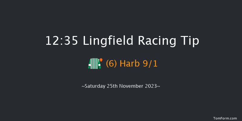 Lingfield 12:35 Handicap (Class 4) 5f Tue 21st Nov 2023