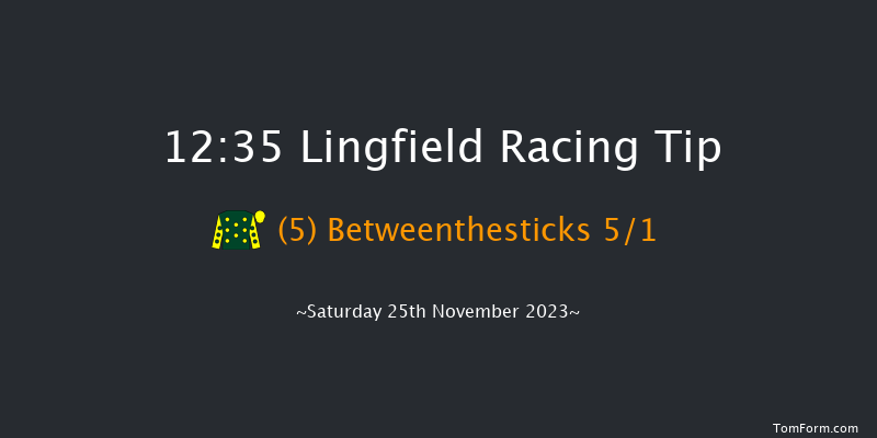 Lingfield 12:35 Handicap (Class 4) 5f Tue 21st Nov 2023