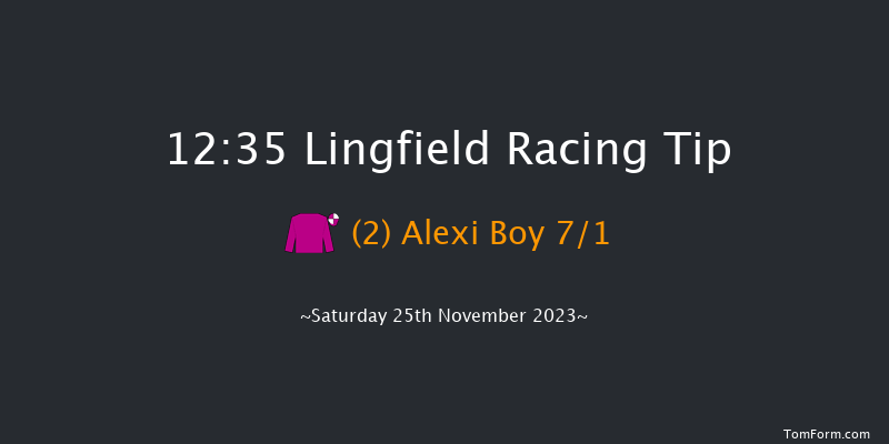 Lingfield 12:35 Handicap (Class 4) 5f Tue 21st Nov 2023