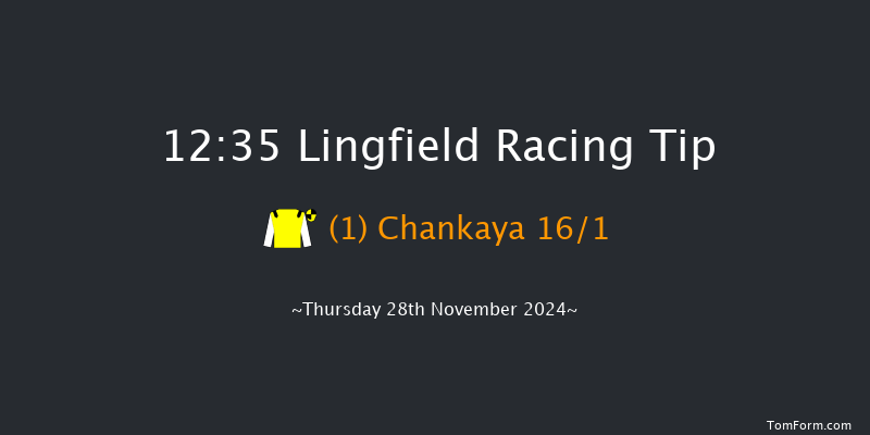 Lingfield  12:35 Handicap Hurdle (Class 5) 23f Thu 21st Nov 2024