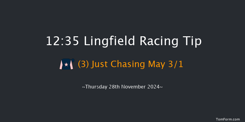 Lingfield  12:35 Handicap Hurdle (Class 5) 23f Thu 21st Nov 2024
