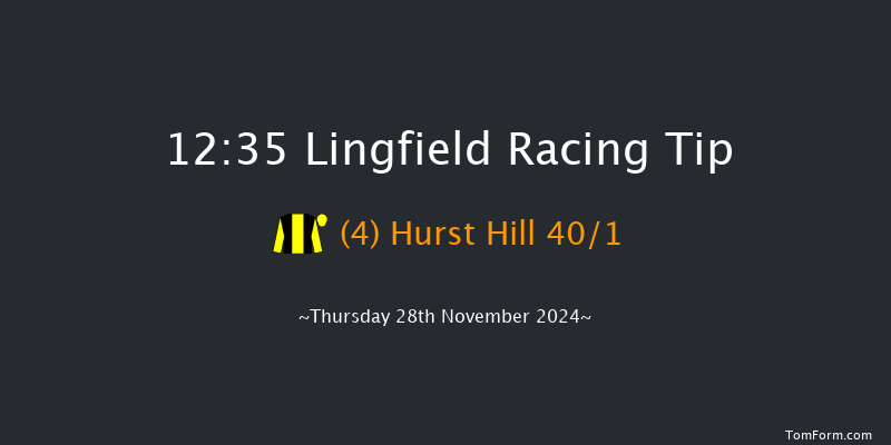 Lingfield  12:35 Handicap Hurdle (Class 5) 23f Thu 21st Nov 2024