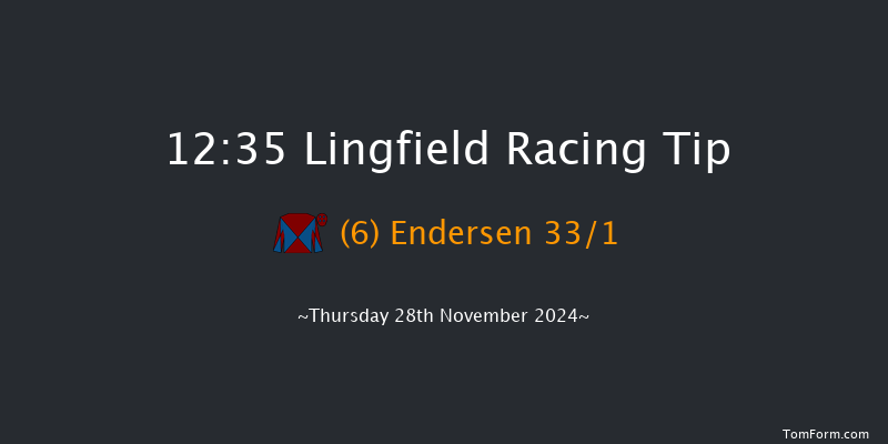 Lingfield  12:35 Handicap Hurdle (Class 5) 23f Thu 21st Nov 2024