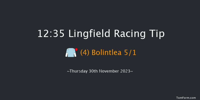 Lingfield 12:35 Handicap Chase (Class 5) 24f Sat 25th Nov 2023